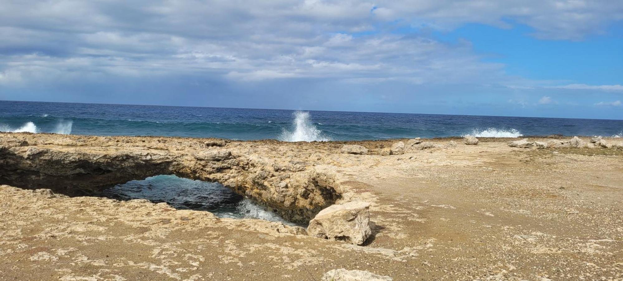 Cattleya Apartments Curacao Willemstad Eksteriør bilde